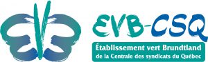 EVB-CSQ_horizon_process_typo_vecto