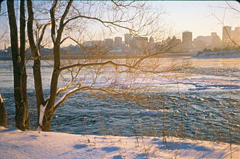 fleuve