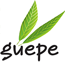 guepe partass