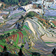 Terrace_field_yunnan_china_denoised-2